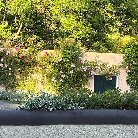 Old Mill House Bed & Breakfast Larne Eksteriør bilde