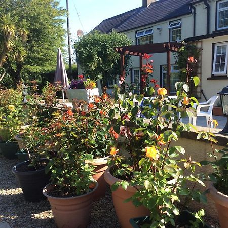 Old Mill House Bed & Breakfast Larne Eksteriør bilde