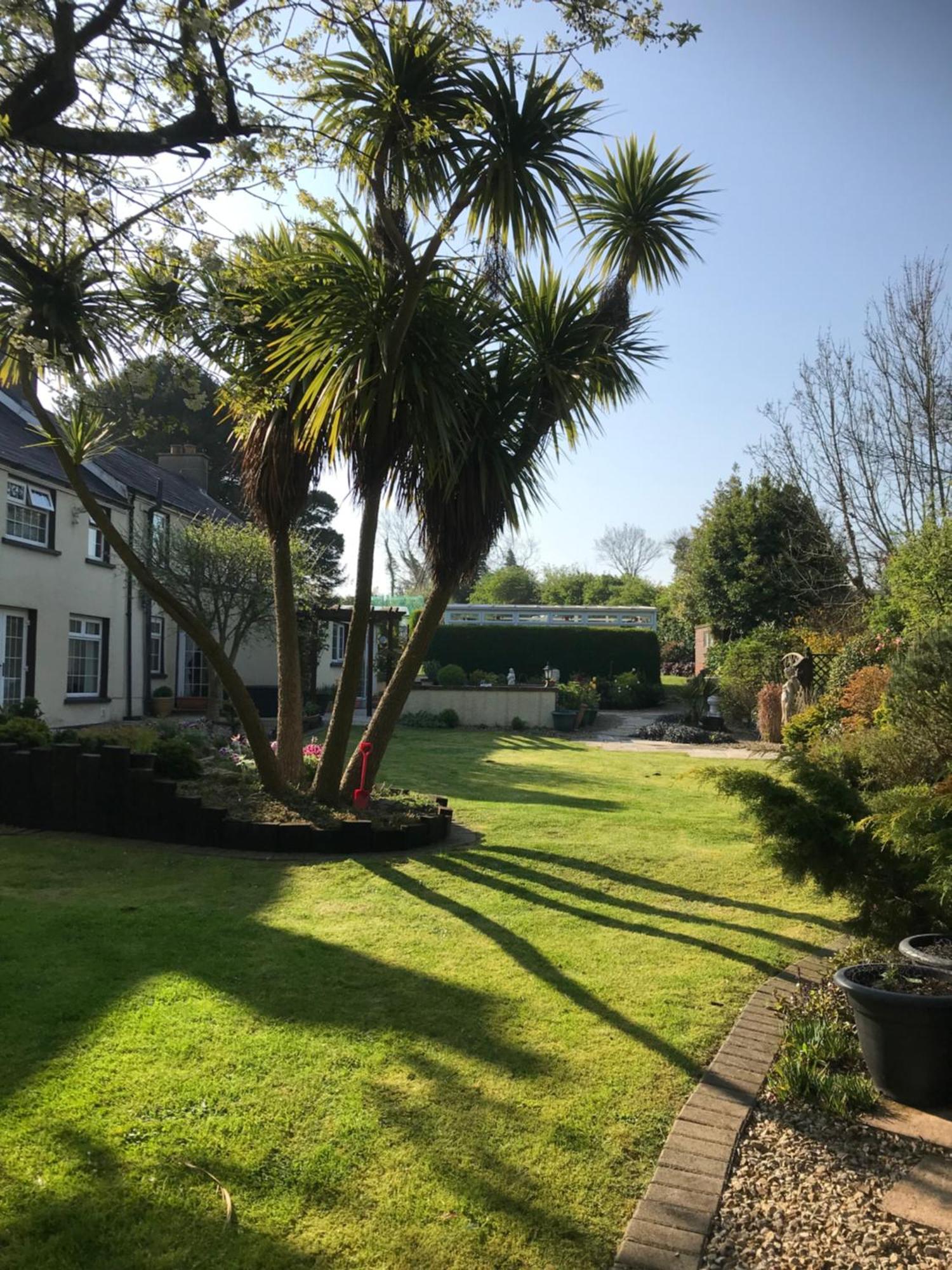 Old Mill House Bed & Breakfast Larne Eksteriør bilde