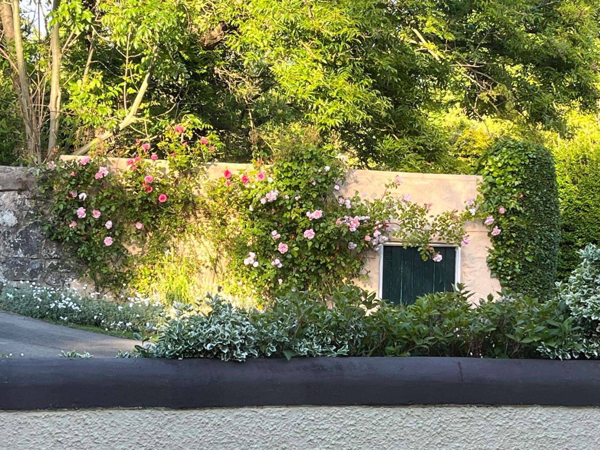 Old Mill House Bed & Breakfast Larne Eksteriør bilde