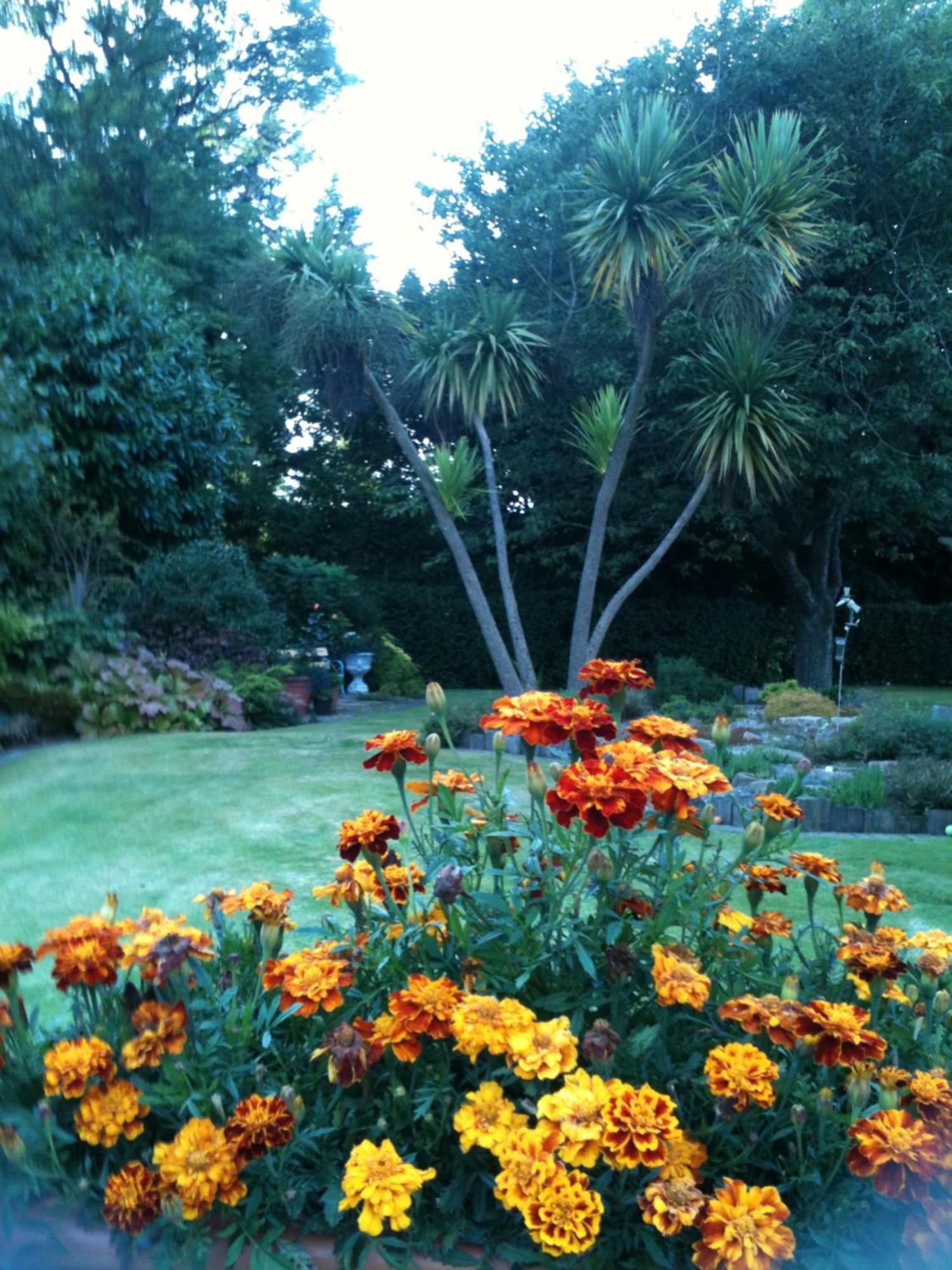 Old Mill House Bed & Breakfast Larne Eksteriør bilde