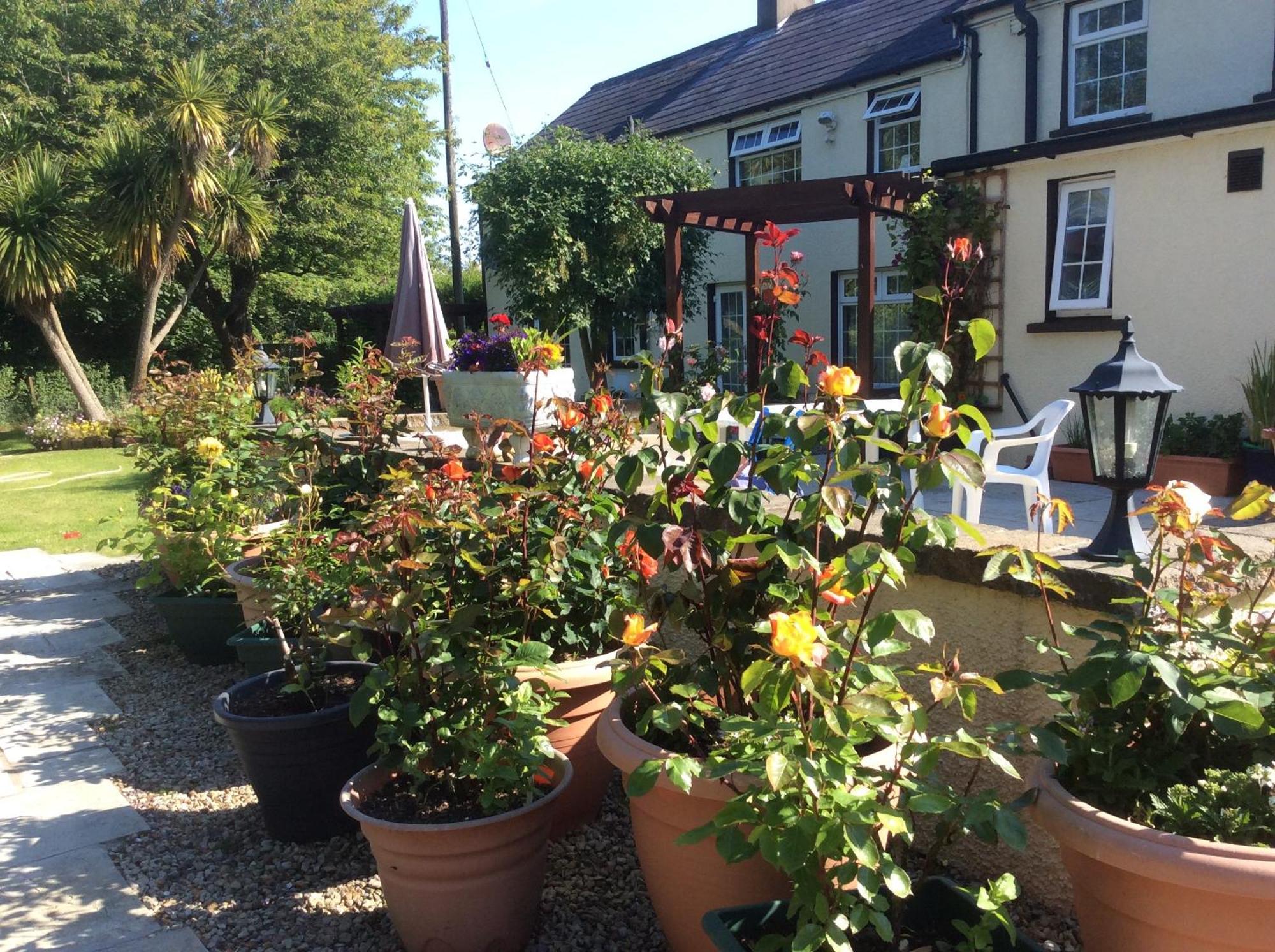 Old Mill House Bed & Breakfast Larne Eksteriør bilde